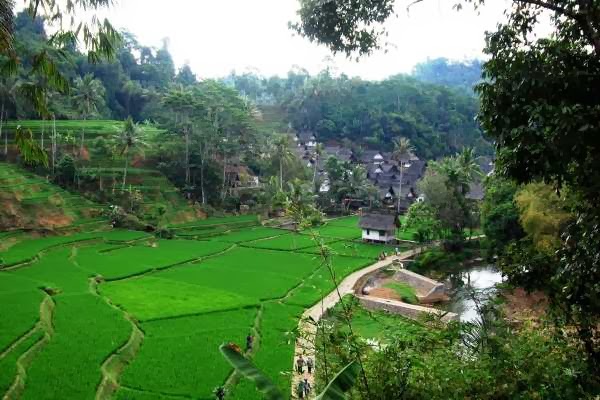 mengunjungi dan mempelajari budaya Kampung Naga Tasikmalaya